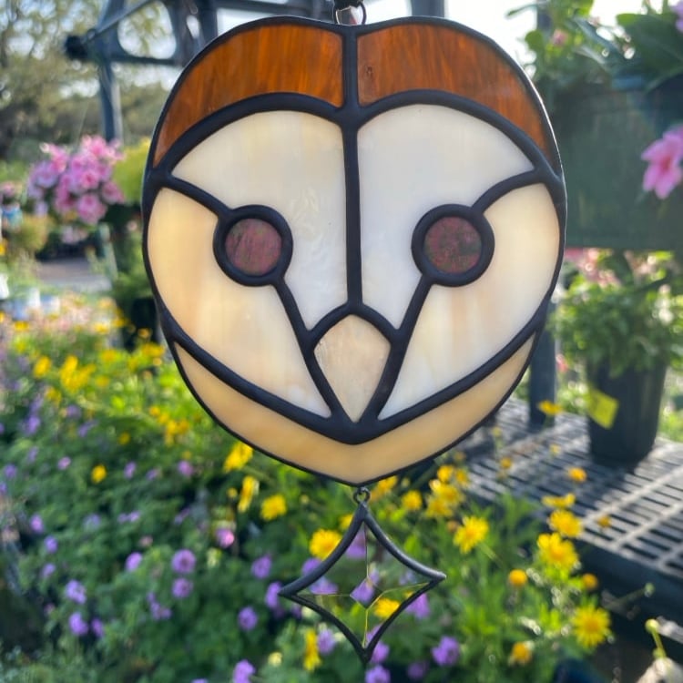 Image of Barn Owl with Star