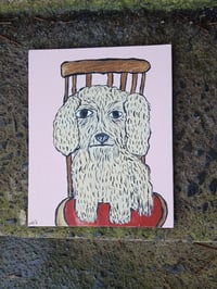 Image 3 of Crusty Dog