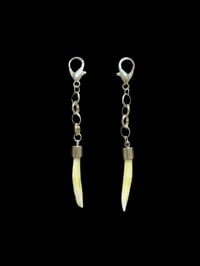 Image 1 of pig teeth charm set