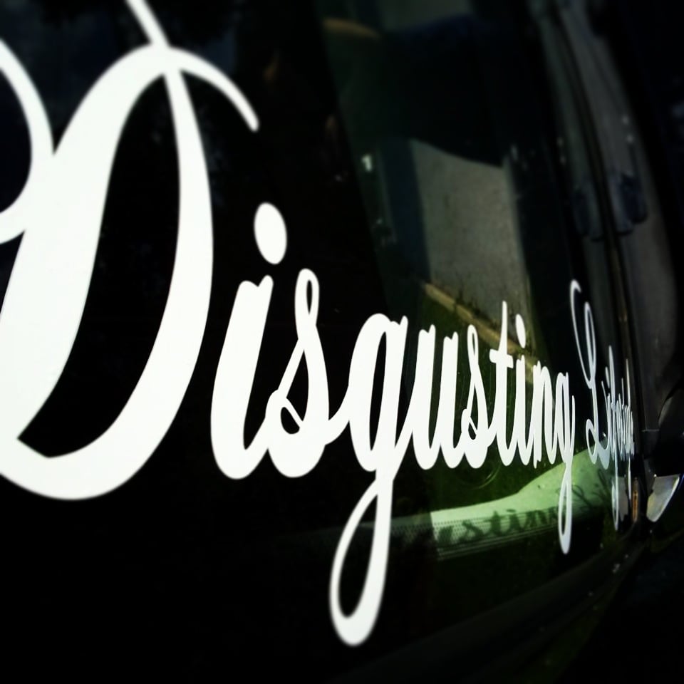 Image of Large DLS Script Sticker