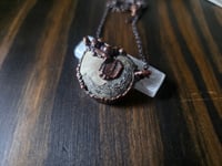 Image 4 of Ammonite #1