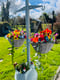 Image of 14inch Grey Bright Colours