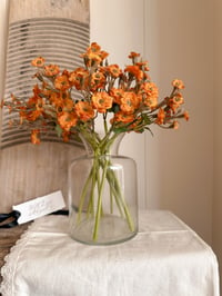 Image 1 of Autumn mini roses ( 2 bunches included)