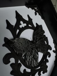 Image 2 of Spider web butterfly