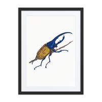Image 5 of Framed poster of Hercules Beetle