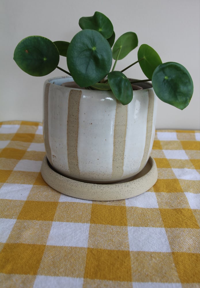 Image of Striped Planter 