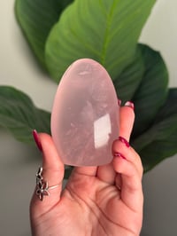 STAR ROSE QUARTZ FREEFORM -MADAGASCAR- D