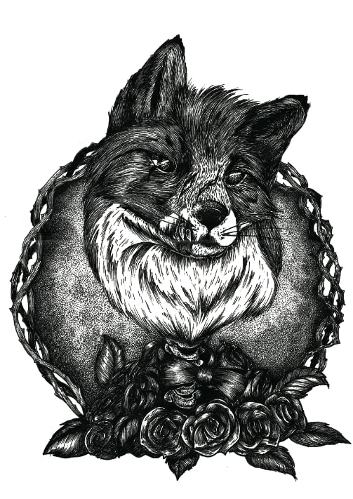 Image of DARK FOX