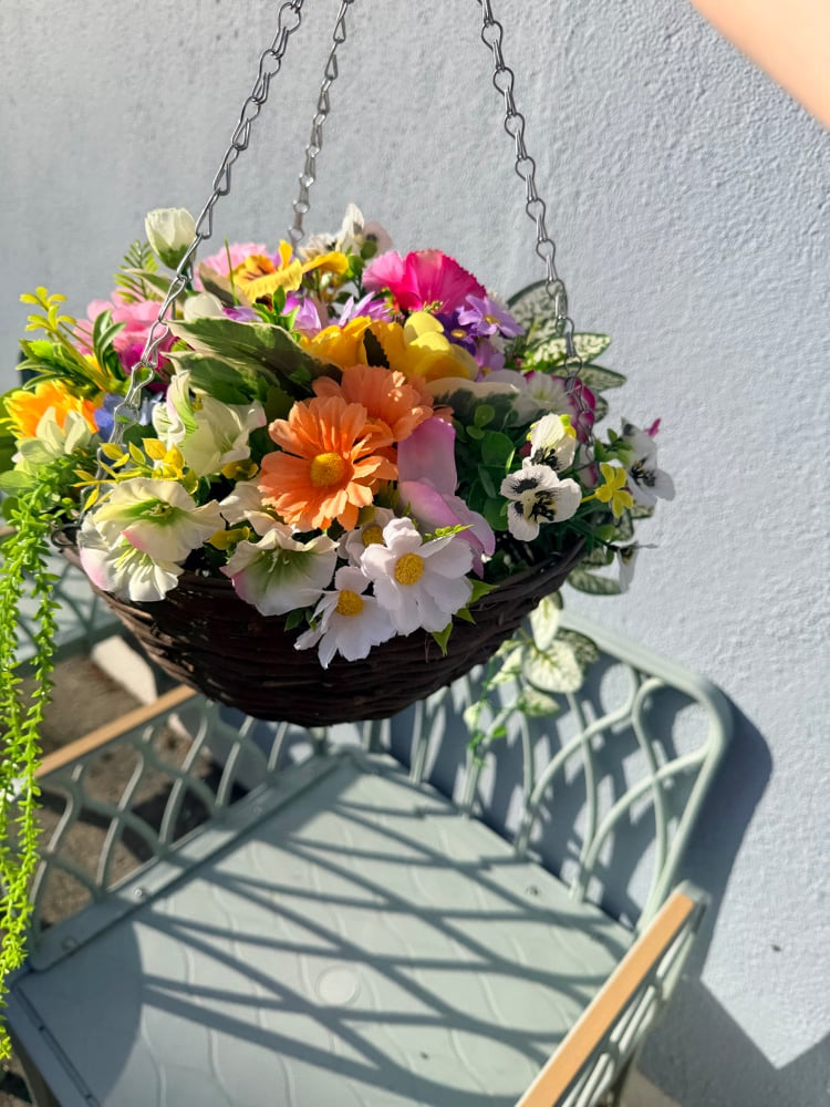 Image of Special Offer Hanging Basket 
