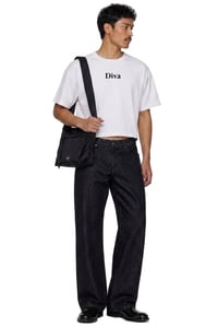 Image 4 of diva cropped 