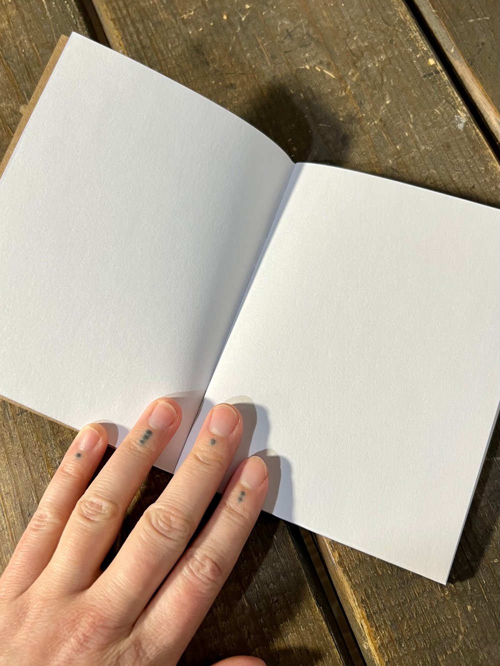 Mini mushroom notebook