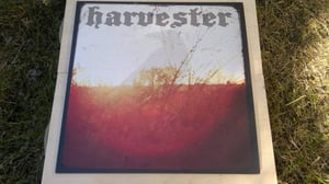 Image of 180gm 12" Vinyl