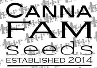 Image 1 of Cannabis Family ~ CREAMSICKLE CRUISE