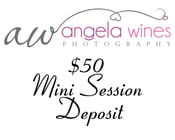 Image of $50 Mini Session Deposit