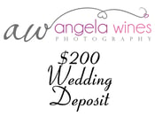 Image of $200 Wedding Payment