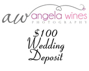 Image of $100 Wedding Payment