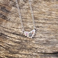 Image 4 of Diamond Angelica