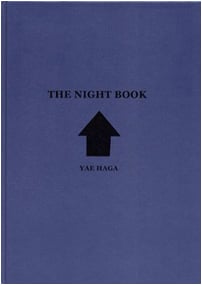 Image of The night book