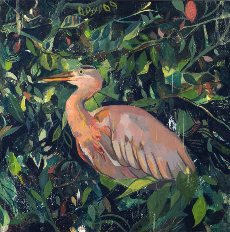 Image of Pink Heron