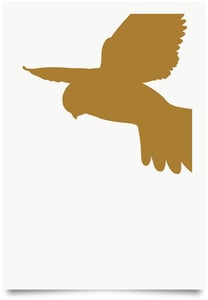 Image of Windhover print