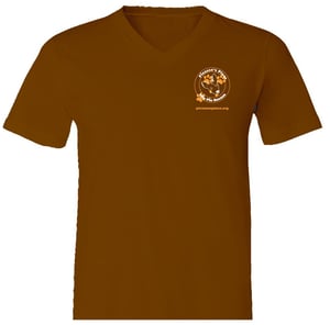 Image of Ladies Picasso's Place V-Neck T-Shirt in Brown