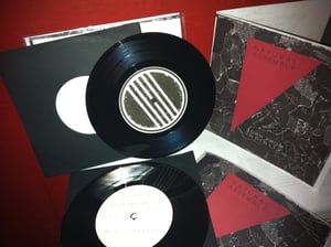 Image of Torn From Infinity 7" - Sans Issue Editions