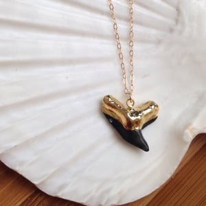 Image of Black Shark Tooth Necklace