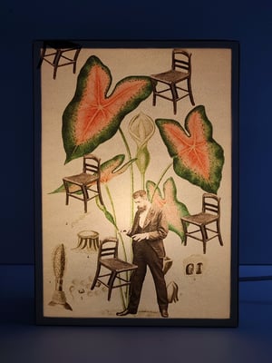 Image of El mentalista.