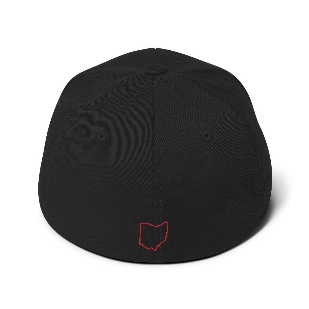 AIW Red Logo Flex Fit Hat