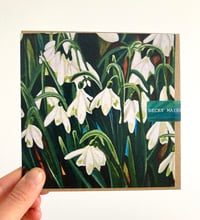 Image 1 of ‘SNOWDROPS’ CARD