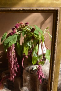 Image 20 of Bouquet Vases