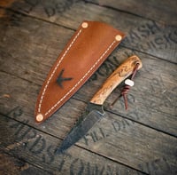 Image 1 of SPUR • bocote wood