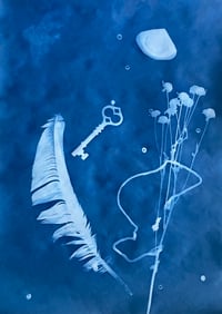  Cyanotype Print