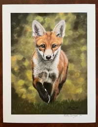 Image 1 of Fox, "The Curious Visitor" PRINT 