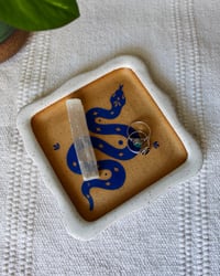 Image 1 of 'Serpiente Azul' Catch All