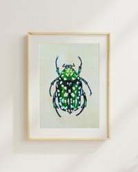 Image 1 of Green Protaetia Beetle PRINT 