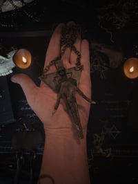 Image 3 of Blackfoot 