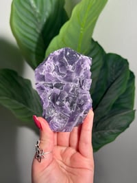 Image 1 of BLUE/PURPLE FLUORITE -CHINA- B