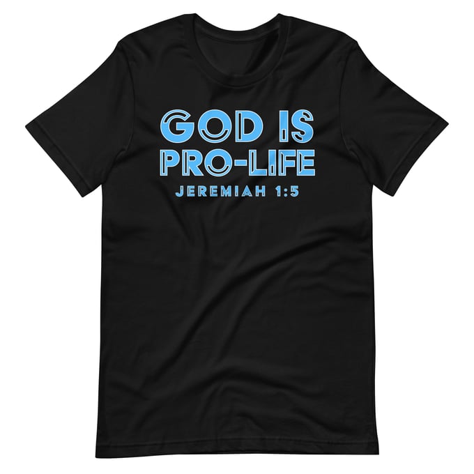 Image of God Is Pro-Life T-shirt