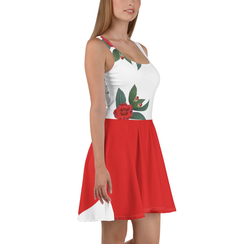 Image of Holy Red Skater Dress 