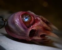 Image 20 of Flesh Oracle Snaggletooth Pendant - Handmade OOAK