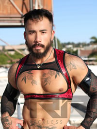 Image 4 of THE CANDY APPLE HARNESS 