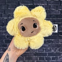 PEANUT- Blossm