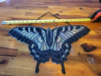 Image of Butterfly Pre-Order 