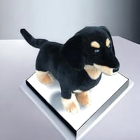 Black and Tan Plush Dachshund Puppy Dog