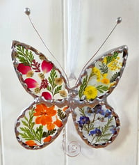 Image 2 of Real Flower Butterfly 