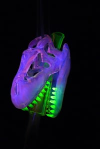 Image 2 of Glopal T-rex skull pendant with illuminati teeth & illuminati/dichro joint tip