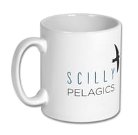 Image 2 of Madeiran Storm-petrel - Scilly Pelagics Mug