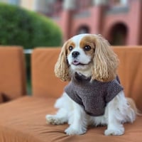 Image 2 of KNIT TEE - ESPRESSO