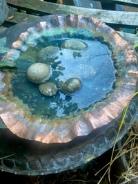 Image 4 of 💙💚Water Love bowl 💙🩵